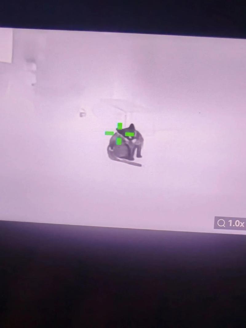 借上网课为由偷玩“第五人格”游戏 十岁男童刷走外婆2万元